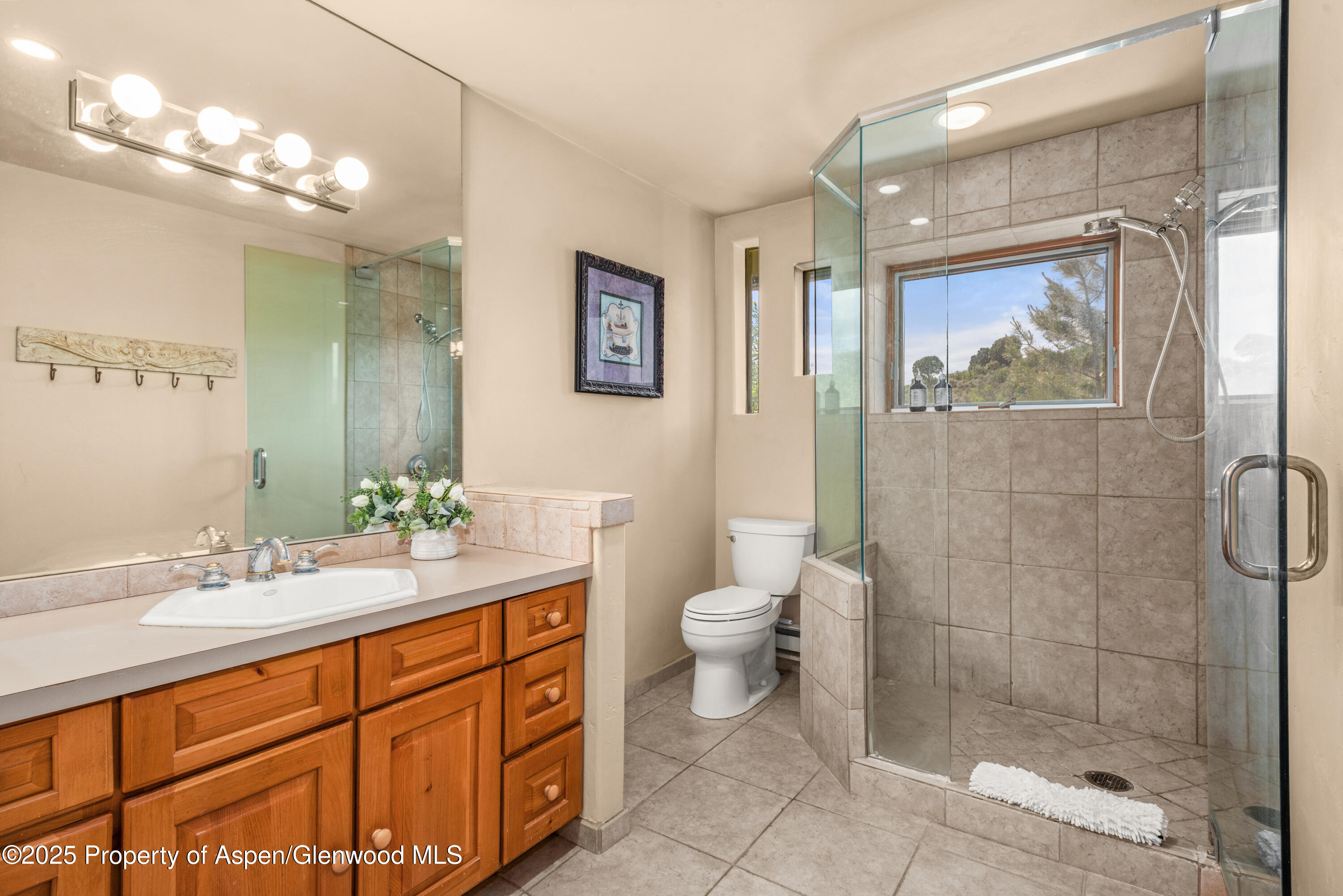 614 Light Hill Road Snowmass, CO 81654 - Photo 13 of 22 a bathroom with a sink a toilet and shower