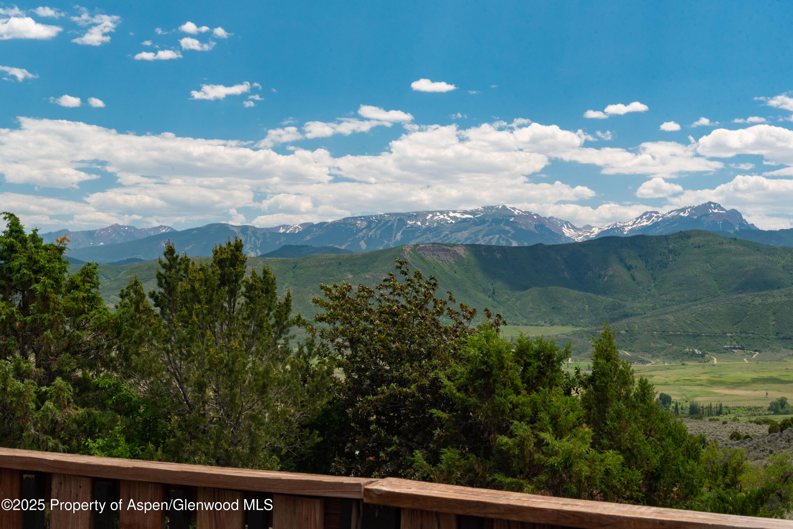 614 Light Hill Road Snowmass, CO 81654 - Photo 20 of 22 a view of a yard with a tree