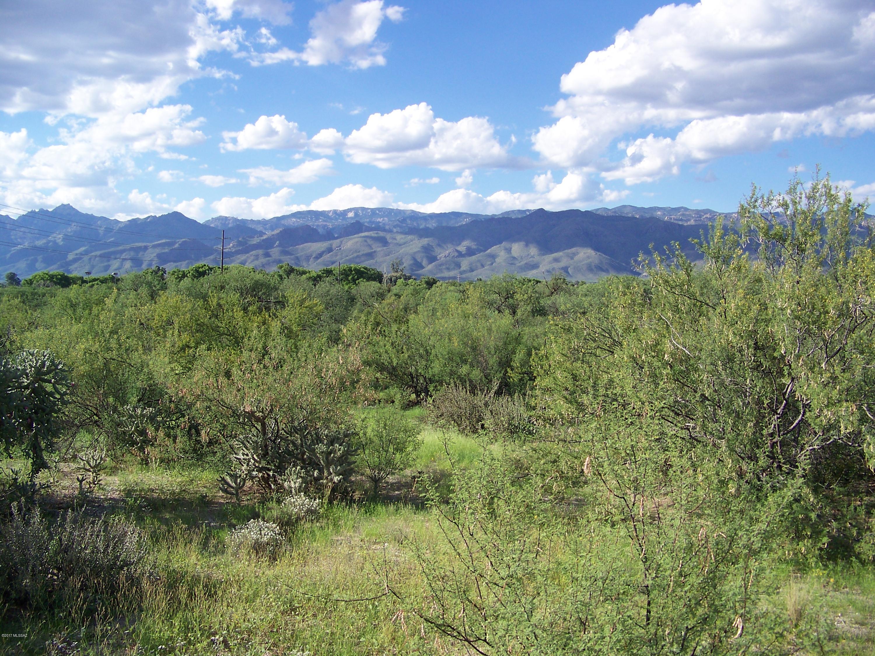 1326 North Tanque Verde Loop Road, Unit 1 Tucson, AZ 85749 - Photo 39 of 47