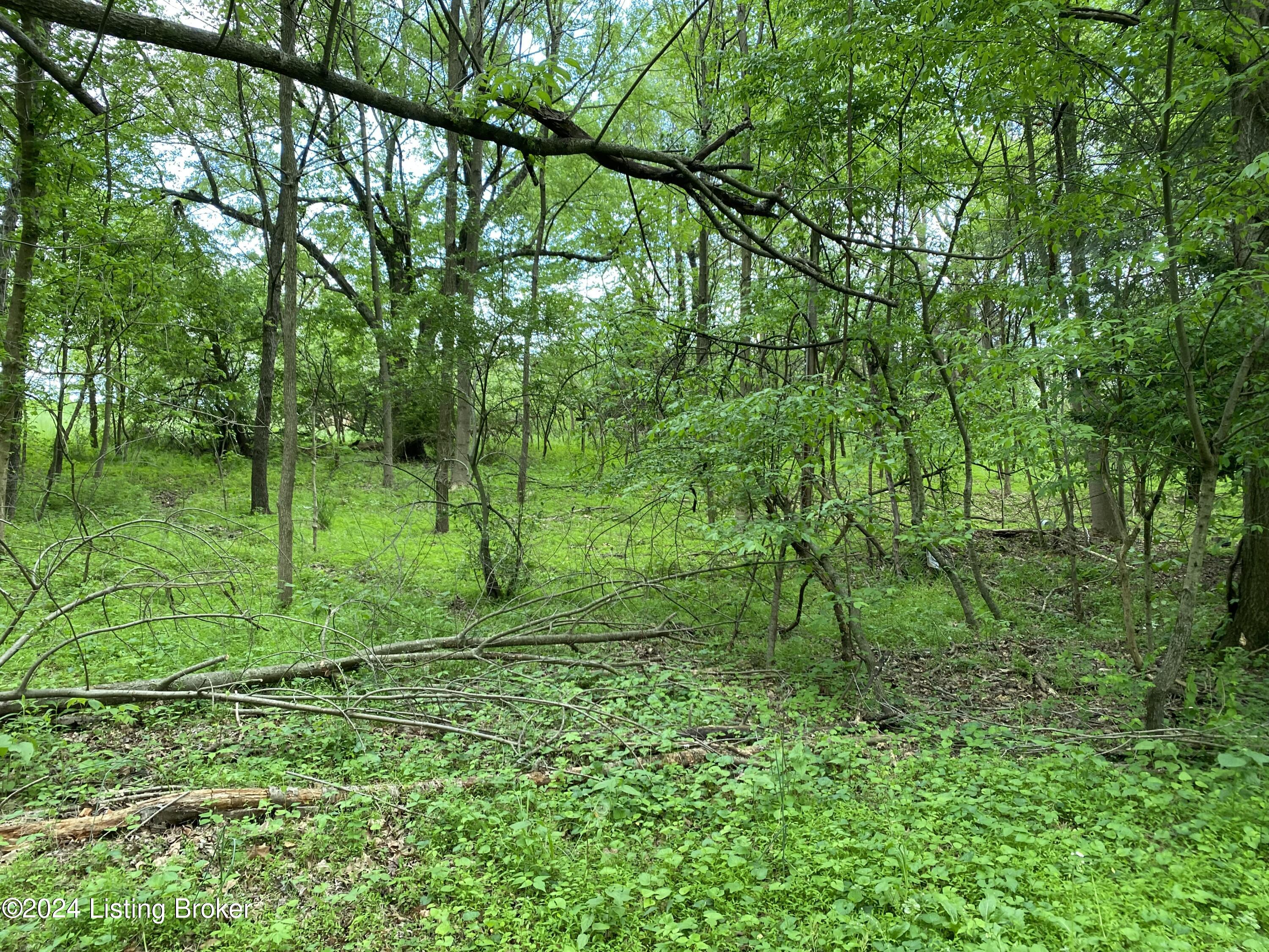 653 Boone Road Rineyville, KY 40162 - Photo 3 of 9 IMG_3059 (1)