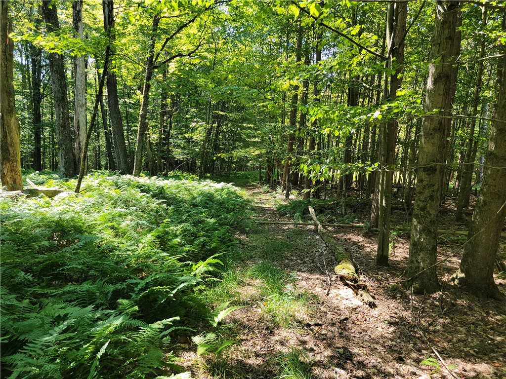 227 S Road Plymouth, NY 13815 - Photo 47 of 49