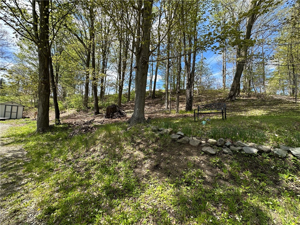 11535 Black Lock Road Naples, NY 14512 - Photo 7 of 36