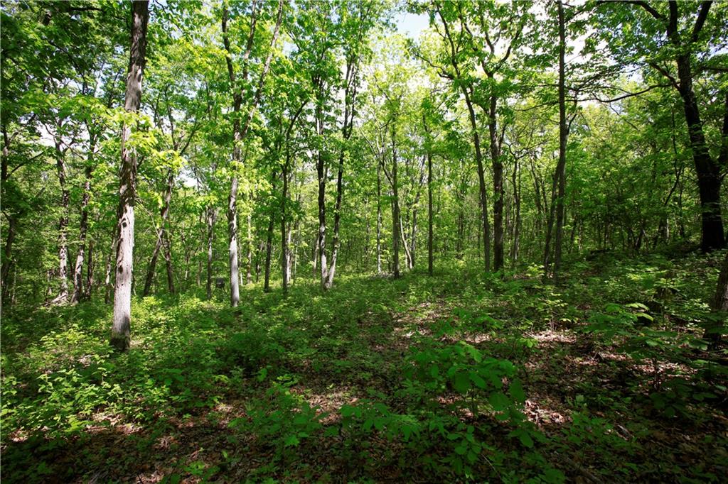 Tbd Southeast 1121st Road Deepwater, MO 64740 - Photo 15 of 26