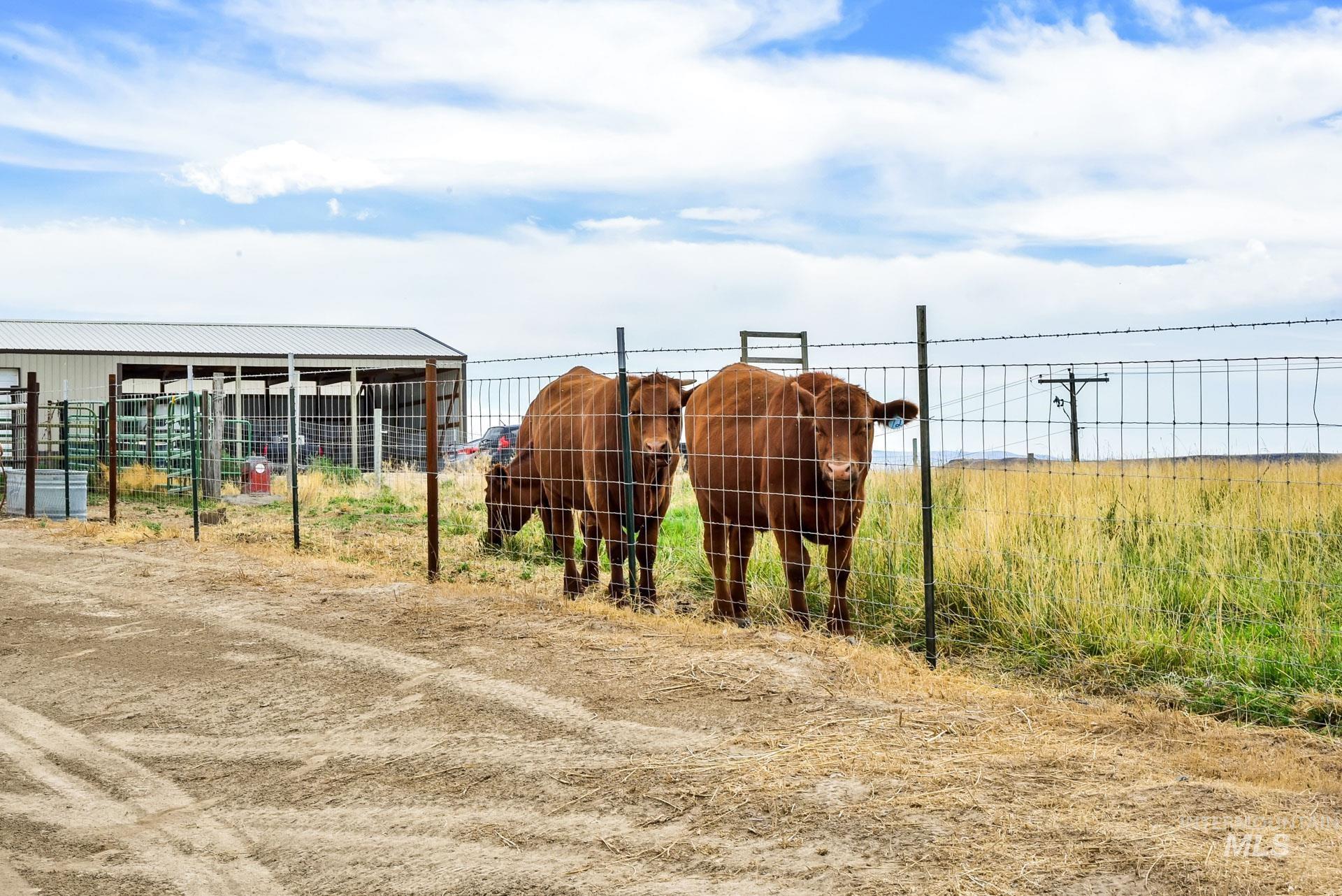 9770 Farner Road Nampa, ID 83686 - Photo 43 of 50