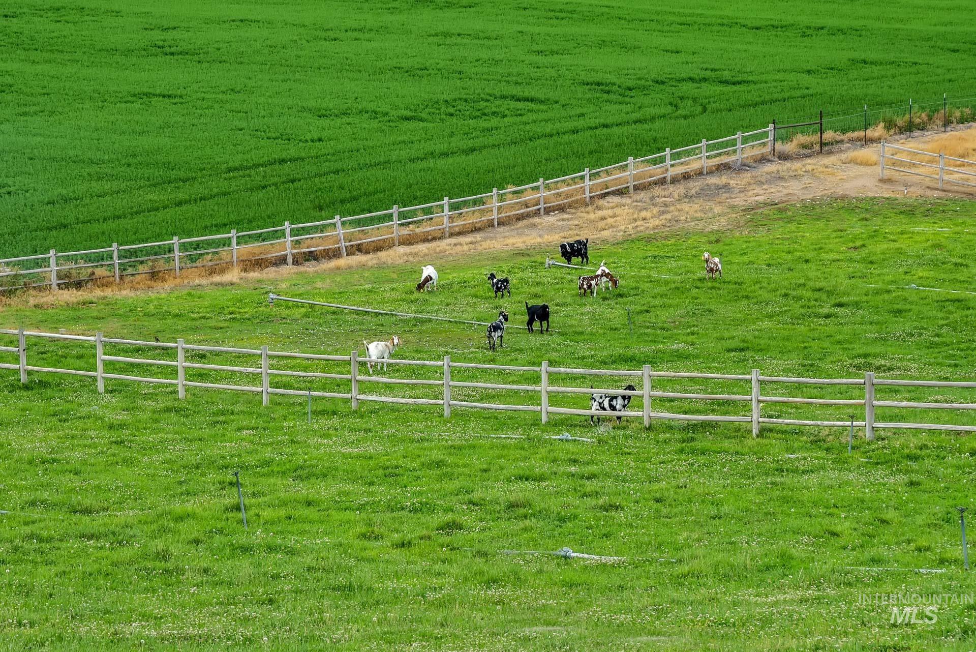 9770 Farner Road Nampa, ID 83686 - Photo 47 of 50