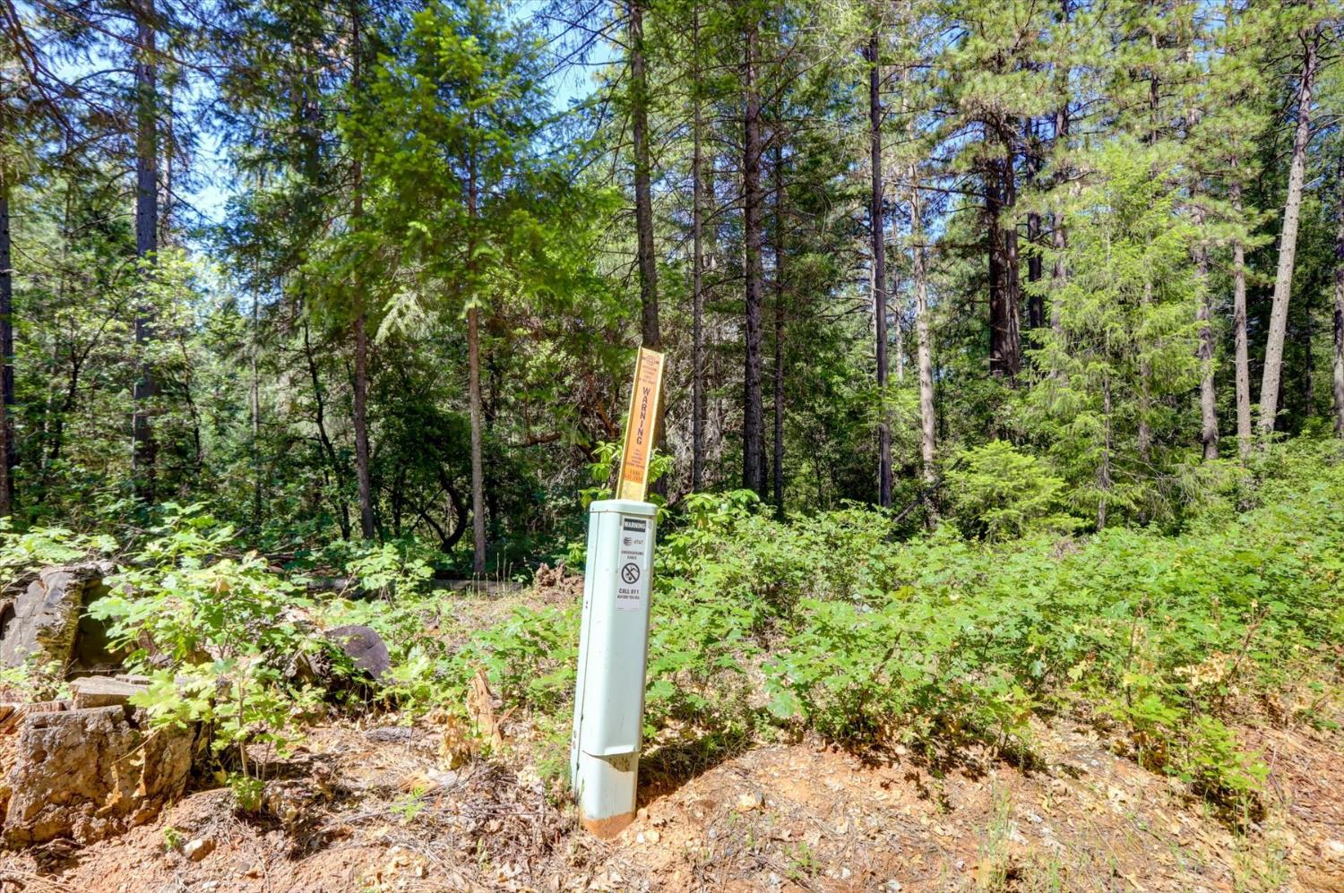 17390 Skyland Road Nevada City, CA 95959 - Photo 5 of 17