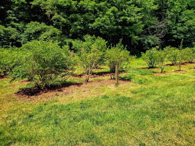 $900,000 | 226 Amesbury Road, Kensington, NH 03833