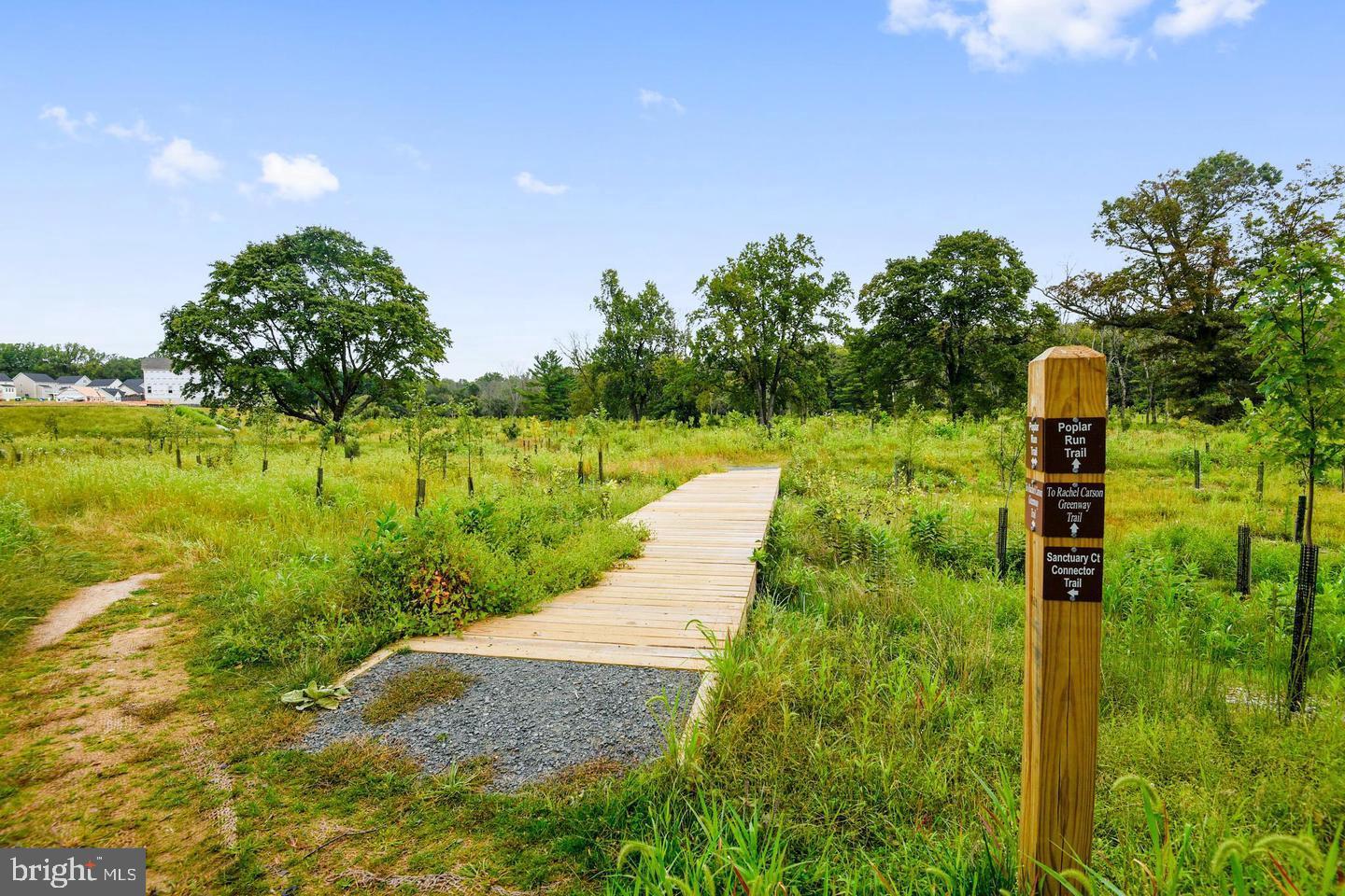 1547 Rabbit Hollow Place Silver Spring, MD 20906 - Photo 53 of 55 Walking Path