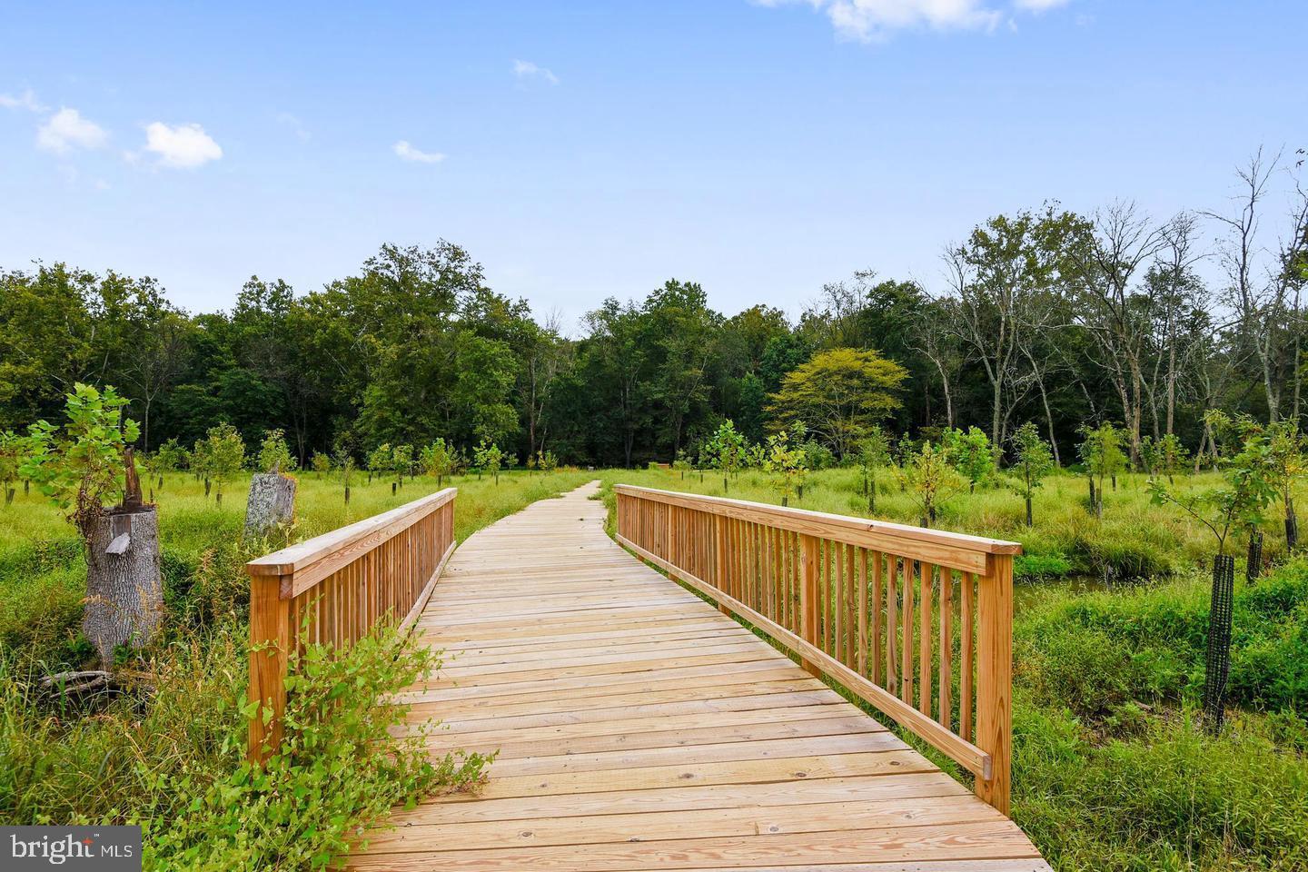 1547 Rabbit Hollow Place Silver Spring, MD 20906 - Photo 54 of 55 Walking Path