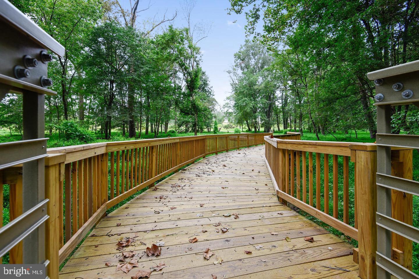 1547 Rabbit Hollow Place Silver Spring, MD 20906 - Photo 55 of 55 Walking Path