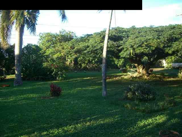 151 Kahiapo Place Haiku, HI 96708 - Photo 12 of 13 a backyard of a house with lots of green space