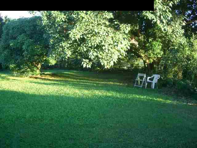 151 Kahiapo Place Haiku, HI 96708 - Photo 13 of 13 a backyard of a house with a yard and outdoor seating