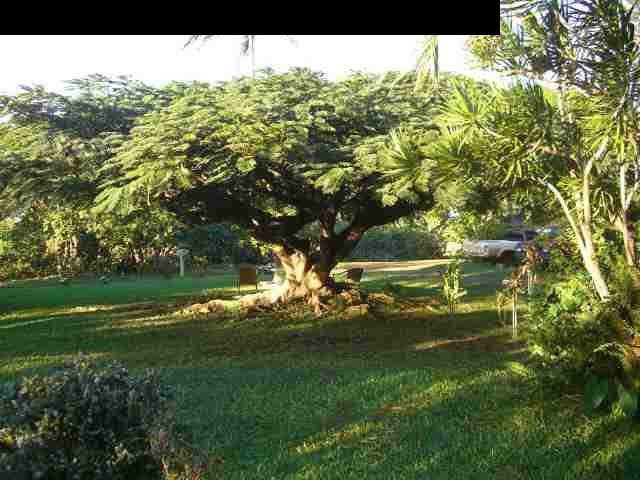 151 Kahiapo Place Haiku, HI 96708 - Photo 6 of 13 a view of a park