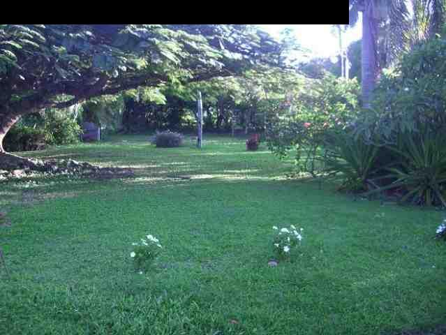 151 Kahiapo Place Haiku, HI 96708 - Photo 7 of 13 a green field with lots of trees