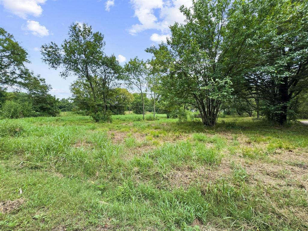 4TH Smith Street Bonham, TX 75418 - Photo 16 of 17 a view of outdoor space and yard