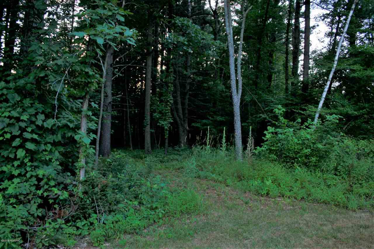 3993 West Waterwheel Road Northwest Stanton, MI 48888 - Photo 23 of 47 Gallery Image 23