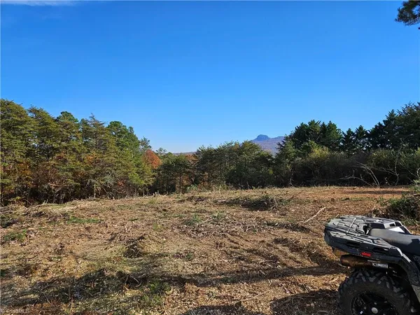 $250,000 | 0 Whitaker Chapel Road, Unit 10, Pilot Mountain, NC 27041