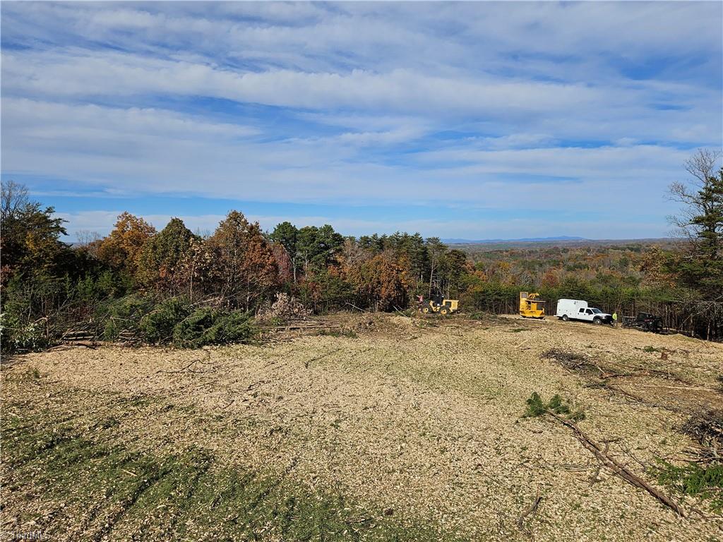 0 Whitaker Chapel Road, Unit 10 Pilot Mountain, NC 27041 - Photo 5 of 7