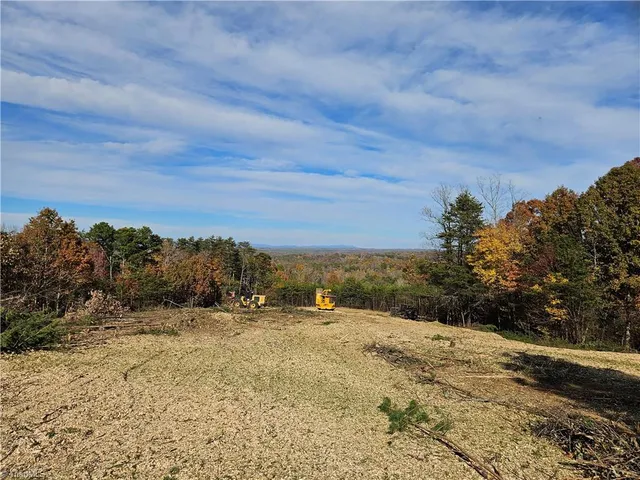 $250,000 | 0 Whitaker Chapel Road, Unit 10, Pilot Mountain, NC 27041