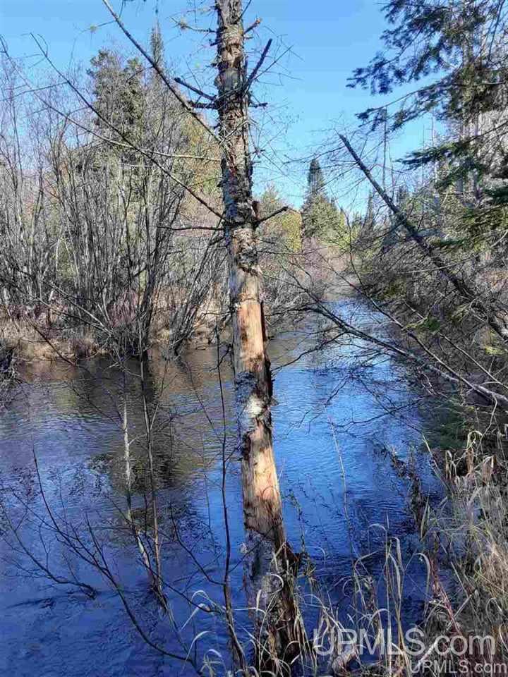 Tbd East H-58 Road Grand Marais, MI 49839 - Photo 15 of 18 Gallery Image 15