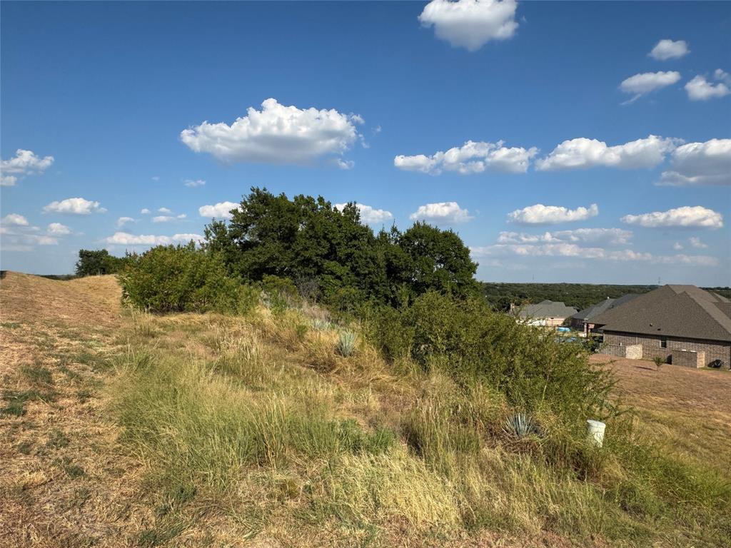 7901 Rohne Court Granbury, TX 76049 - Photo 5 of 20 Gallery Image 5