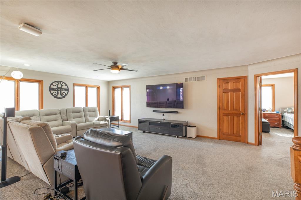 18 Lake Drive Moro, IL 62067 - Photo 11 of 58