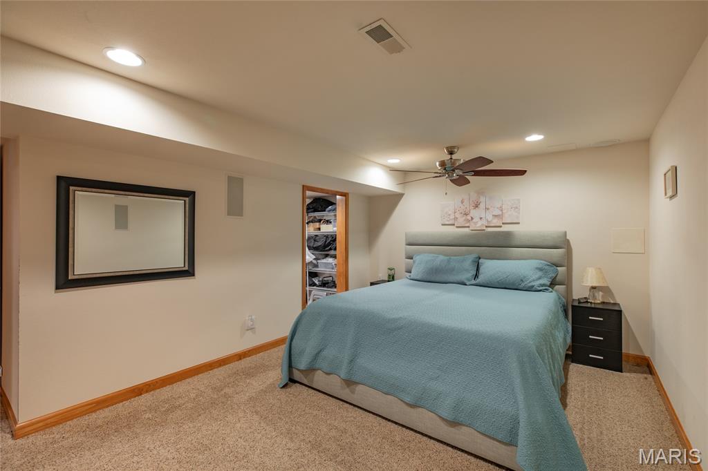 18 Lake Drive Moro, IL 62067 - Photo 33 of 58