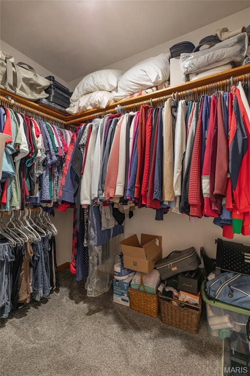 18 Lake Drive Moro, IL 62067 - Photo 35 of 58