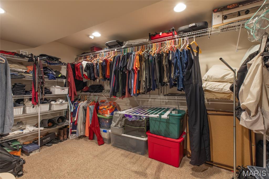 18 Lake Drive Moro, IL 62067 - Photo 36 of 58