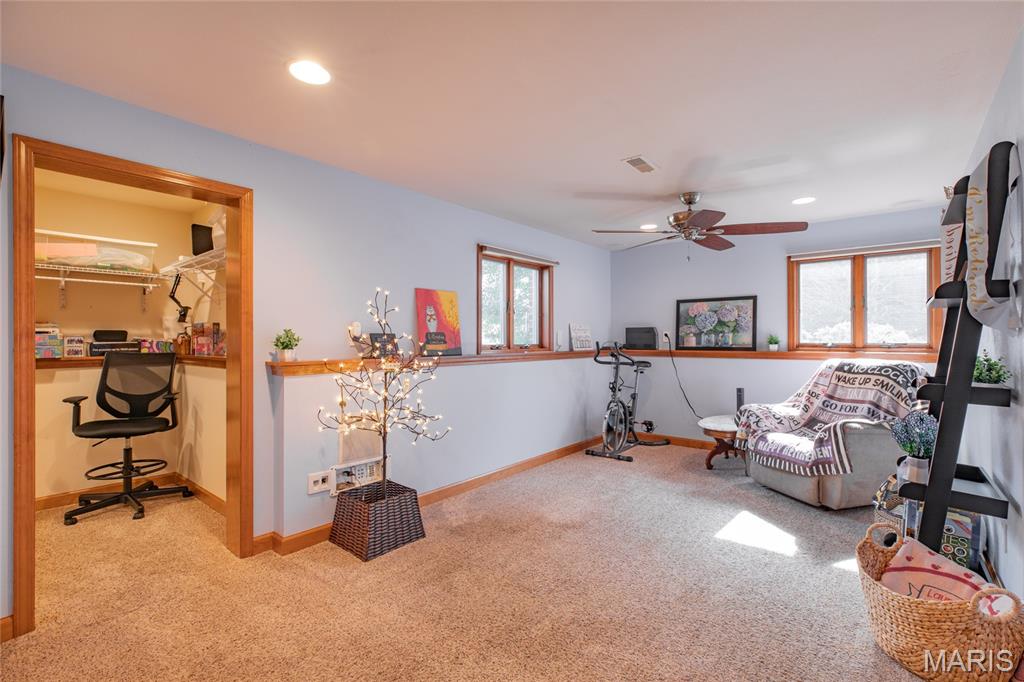 18 Lake Drive Moro, IL 62067 - Photo 37 of 58