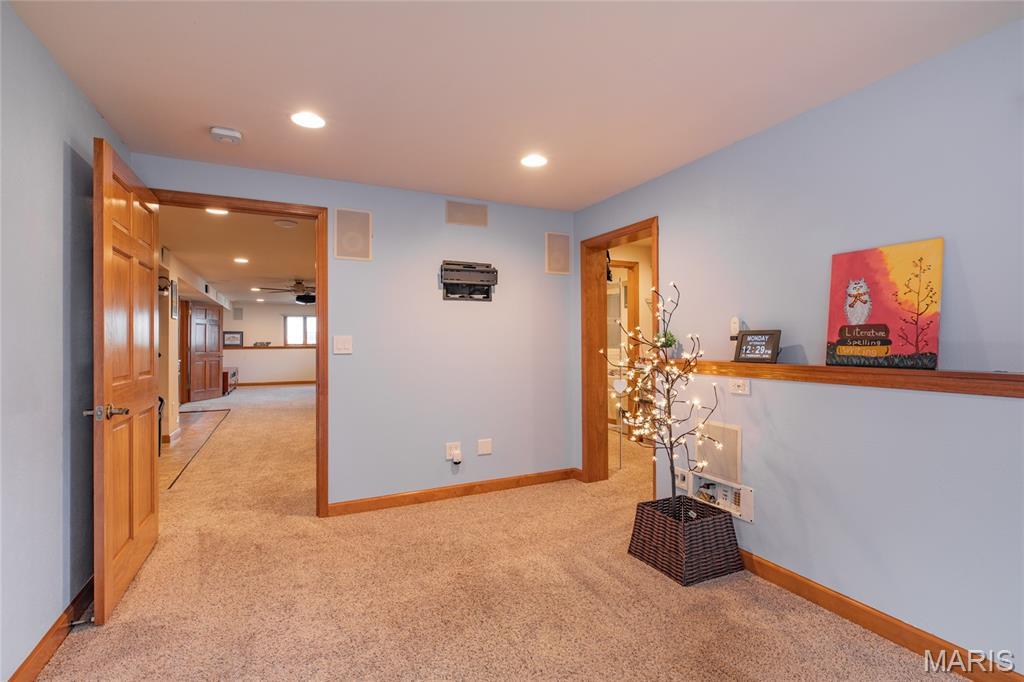 18 Lake Drive Moro, IL 62067 - Photo 39 of 58