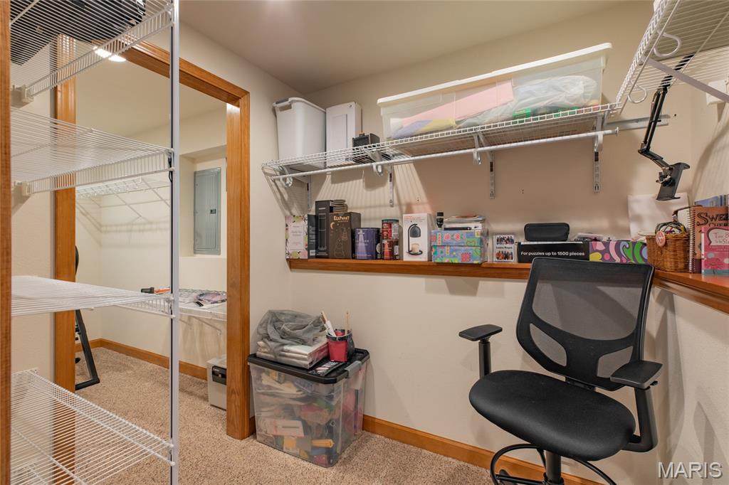 18 Lake Drive Moro, IL 62067 - Photo 40 of 58