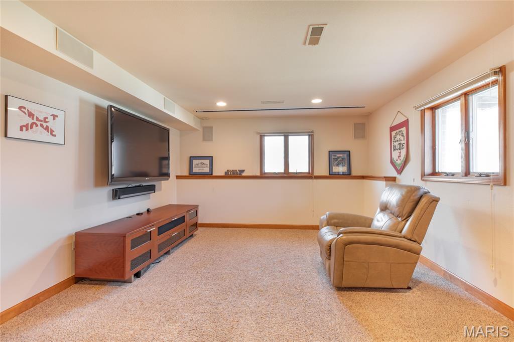 18 Lake Drive Moro, IL 62067 - Photo 43 of 58