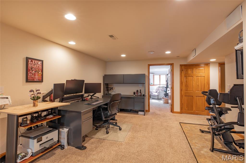 18 Lake Drive Moro, IL 62067 - Photo 46 of 58