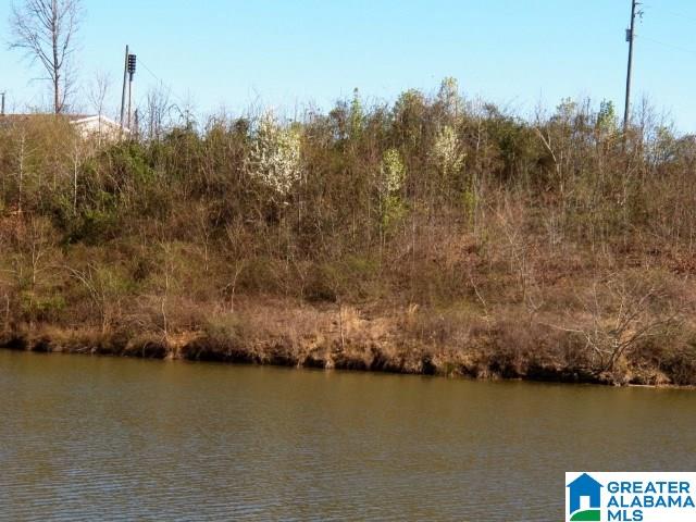 53 Eagle Cove Road, Unit 2 Ohatchee, AL 36271 - Photo 12 of 19