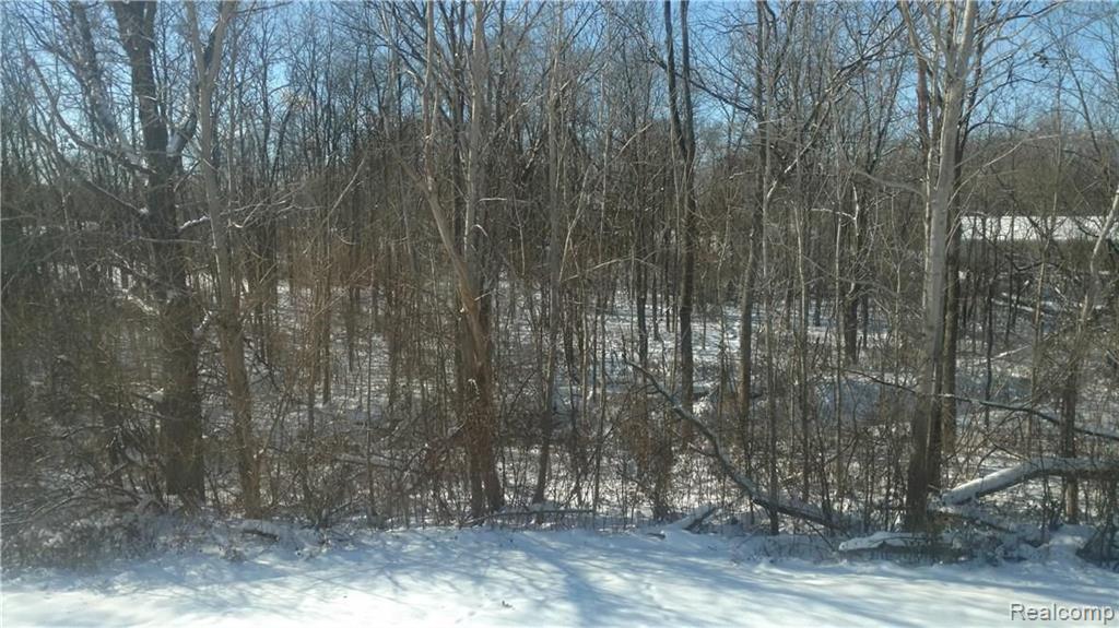 Vacant 2 Mile Road Evart, MI 49631 - Photo 1 of 1