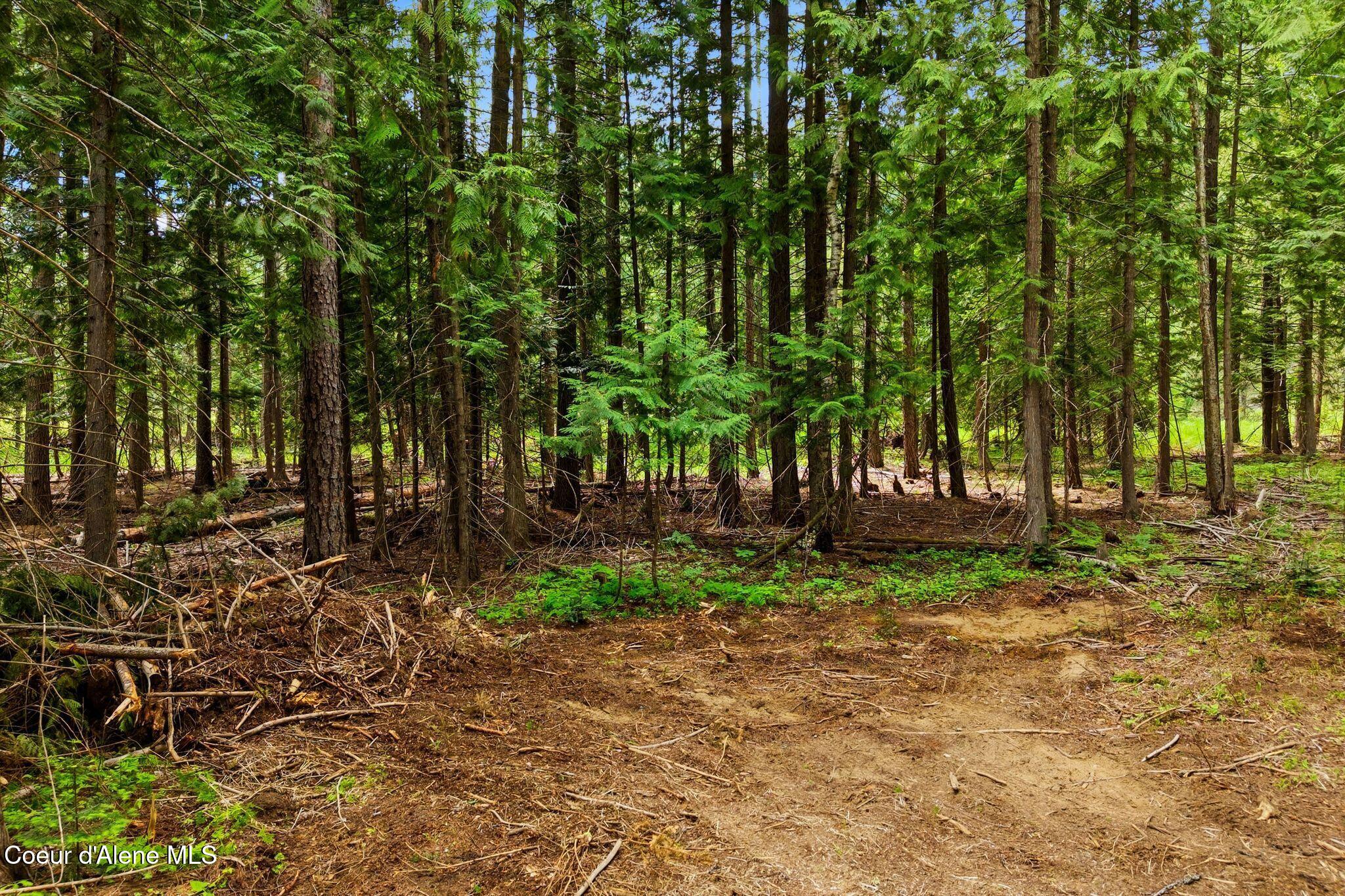 Nka Cedar Springs Road Sandpoint, ID 83864 - Photo 8 of 14 2_DJI_20260603051729_0289_D