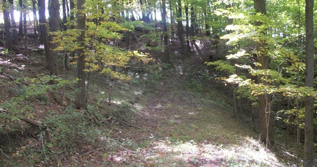 Moonshine Holler Road Boswell, PA 15531 - Photo 16 of 20 Gallery Image 16