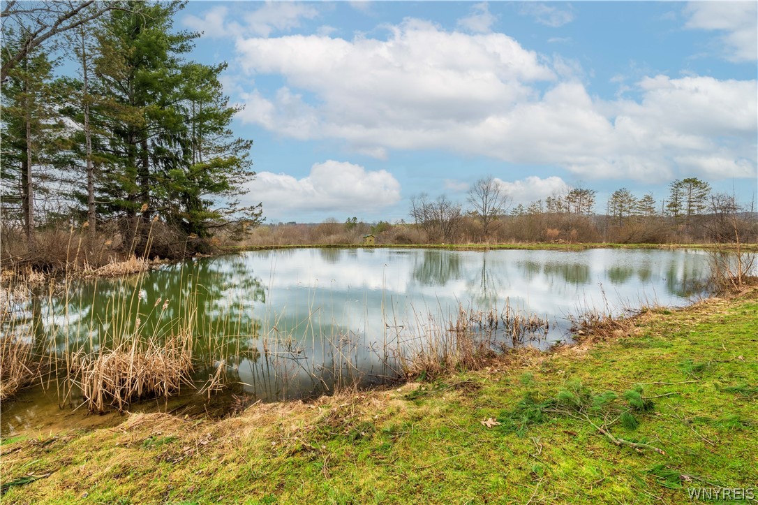 11936 Big Tree Road Wales, NY 14052 - Photo 4 of 46