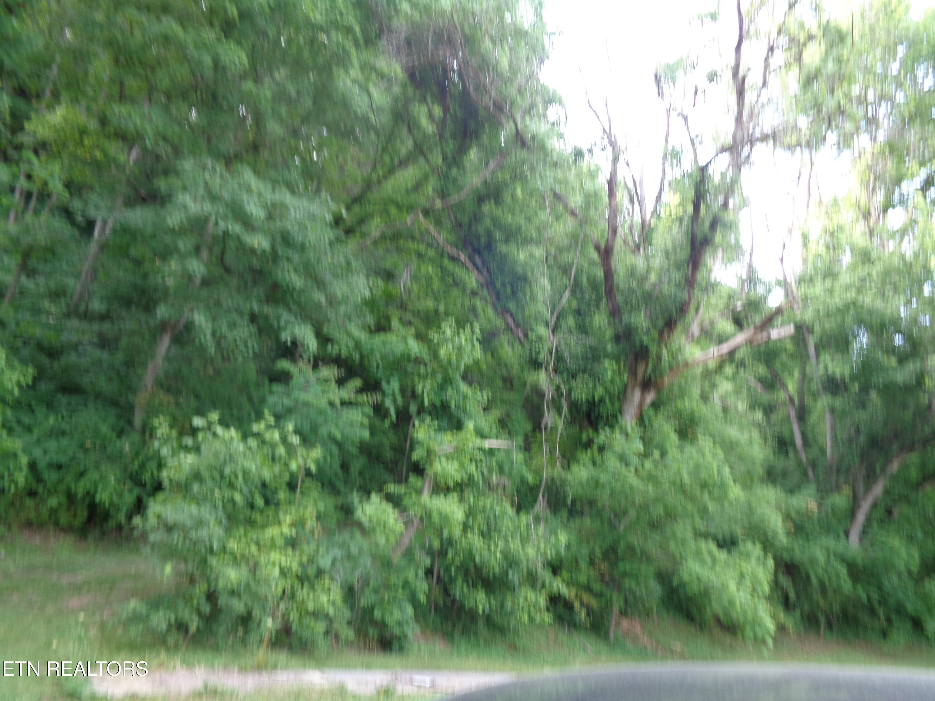 0 Kyles Ford Road Kyles Ford, TN 37765 - Photo 18 of 18 DSC01104