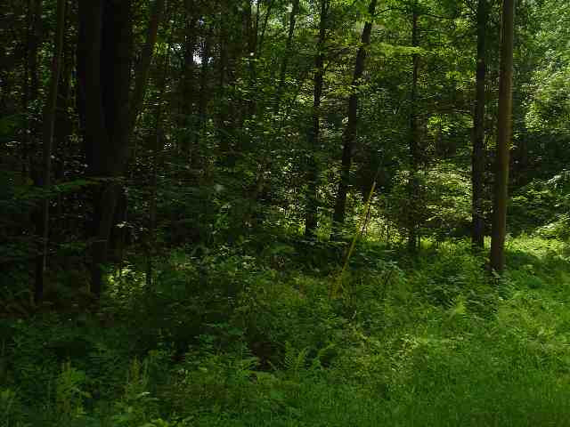 0 Barkley Lake Road Salem, NY 12865 - Photo 3 of 6 Photo 3
