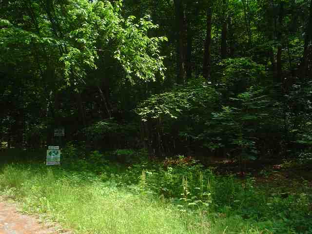0 Barkley Lake Road Salem, NY 12865 - Photo 5 of 6 Photo 5