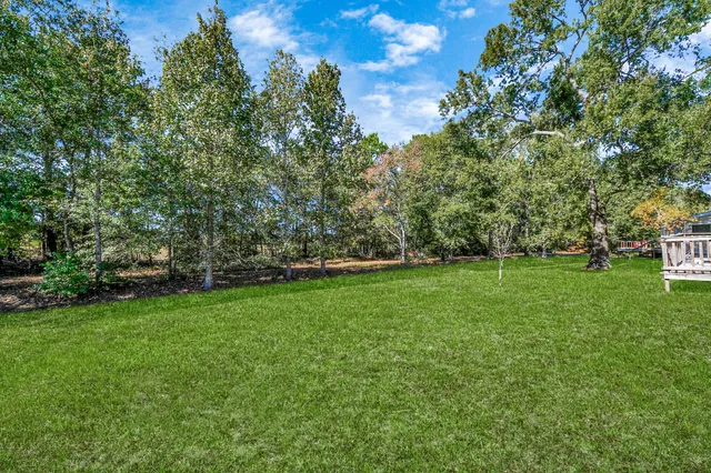 a view of a backyard with plants and large trees