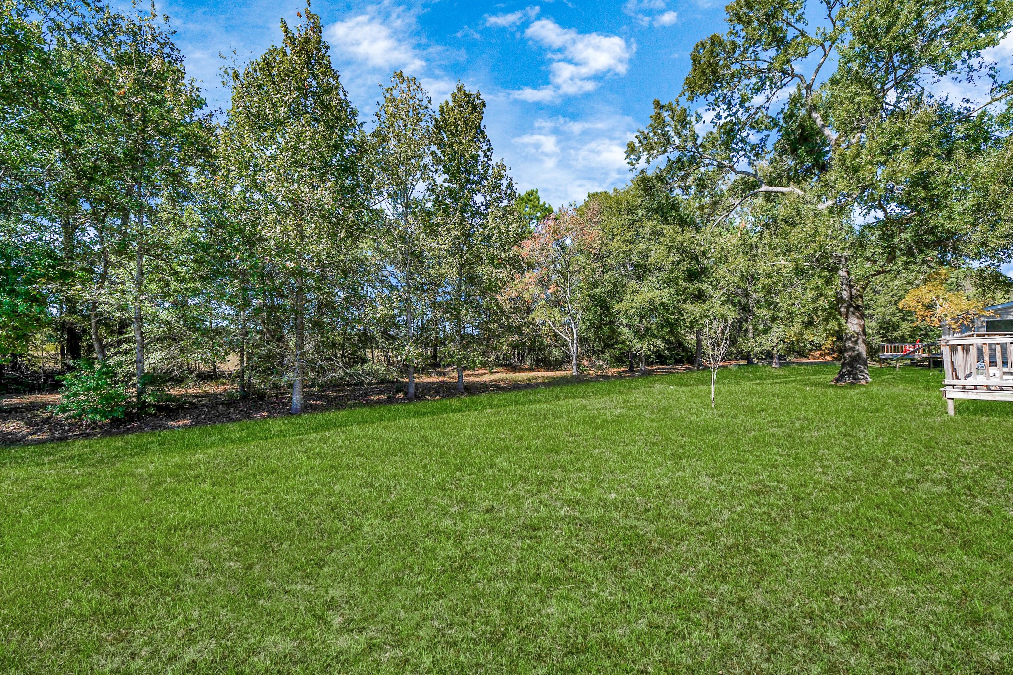 16338 Hill Country Court Conroe, TX 77302 - Photo 32 of 39 a view of yard with green space