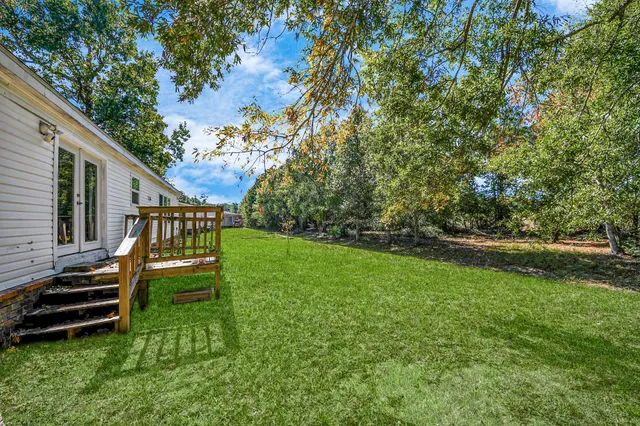a view of a backyard with plants and large trees