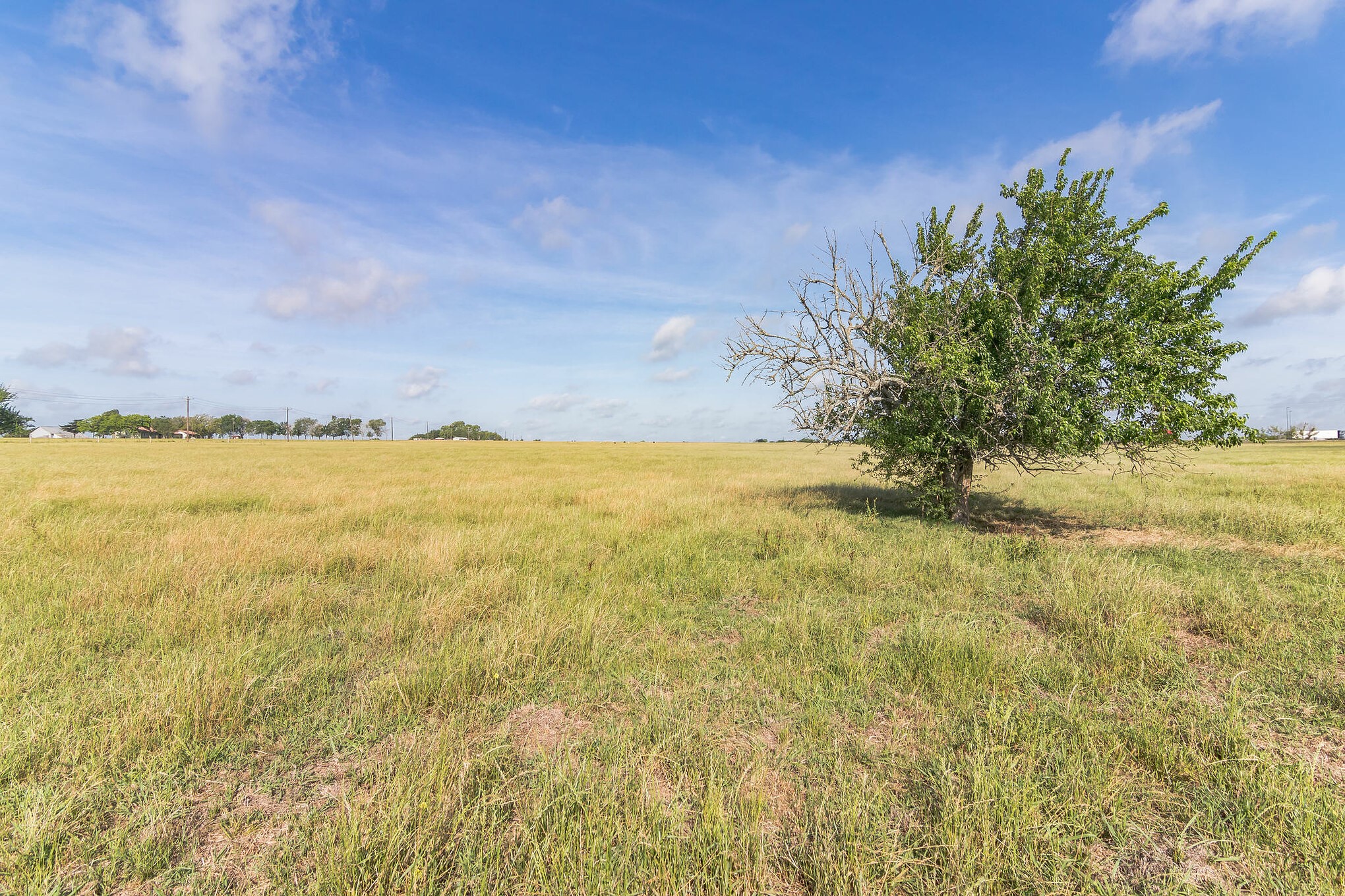 155 FM 155 Weimar, TX 78962 - Photo 11 of 13