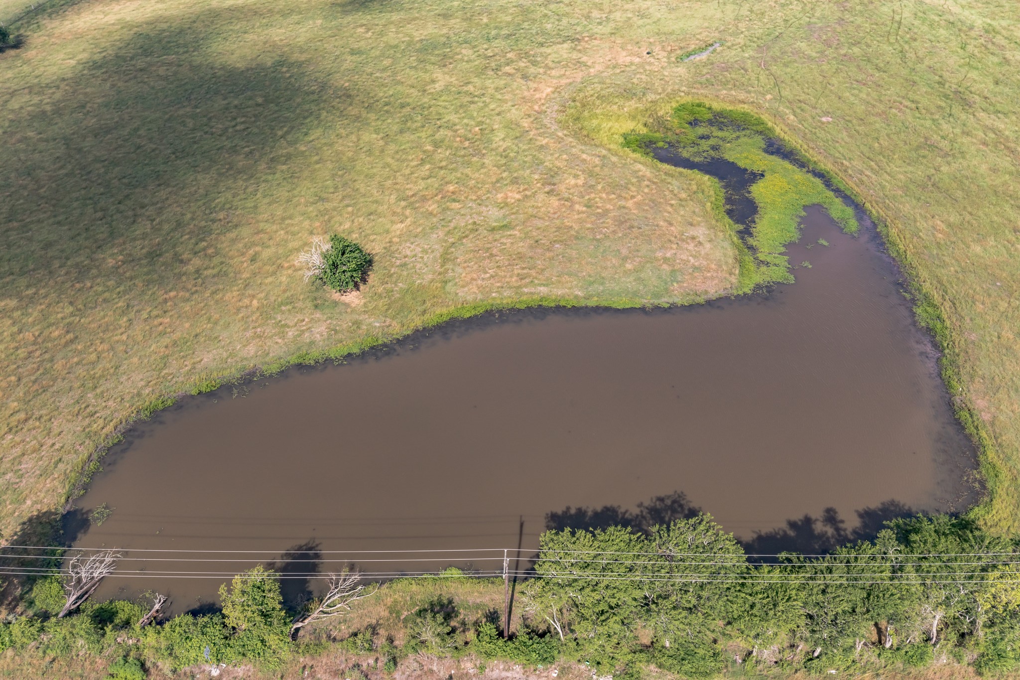 155 FM 155 Weimar, TX 78962 - Photo 7 of 13