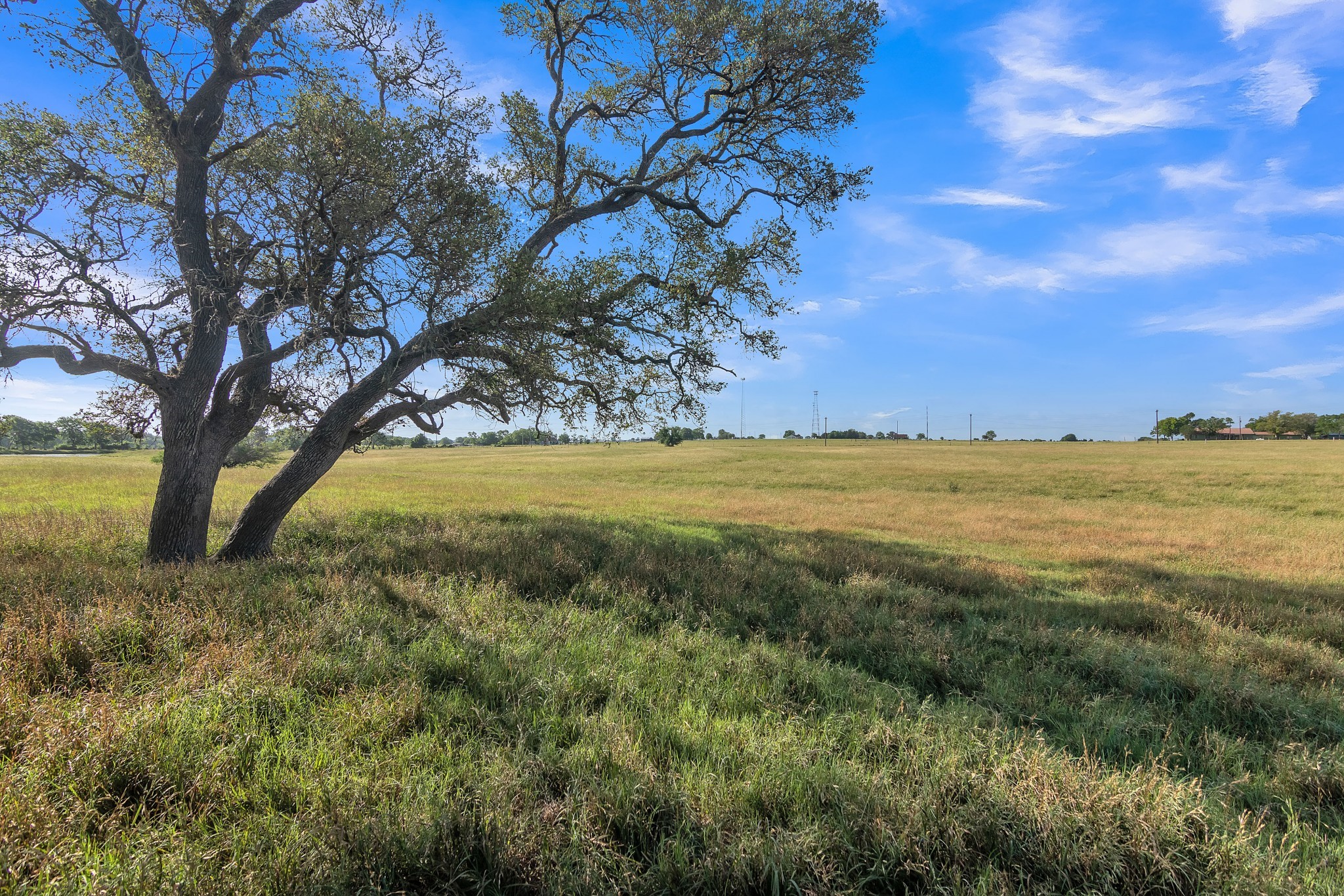 155 FM 155 Weimar, TX 78962 - Photo 9 of 13