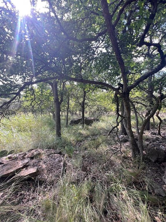 927 Cutter Circle May, TX 76857 - Photo 3 of 23 Wooded landscape featuring mature trees and natural rock formations