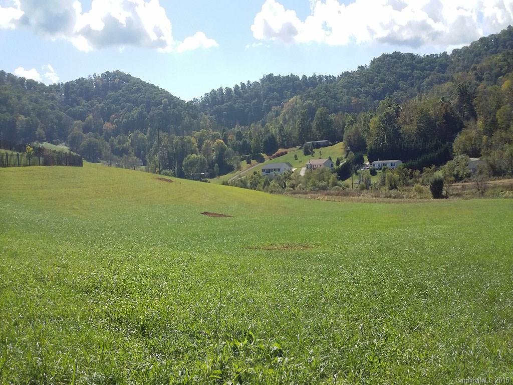 a view of a grassy field with mountains in the background